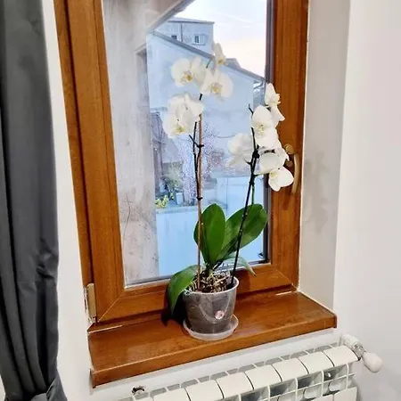 Apartamento Cozy Near Center