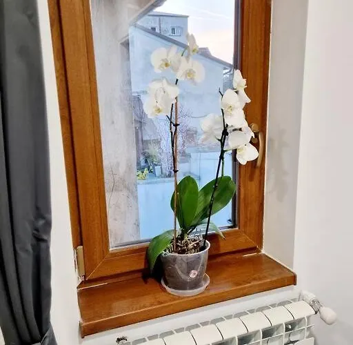 Apartment Cozy Near Center