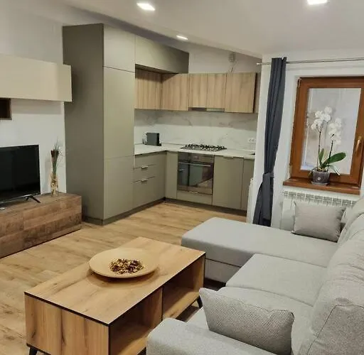 Cozy Near Center 부쿠레슈티